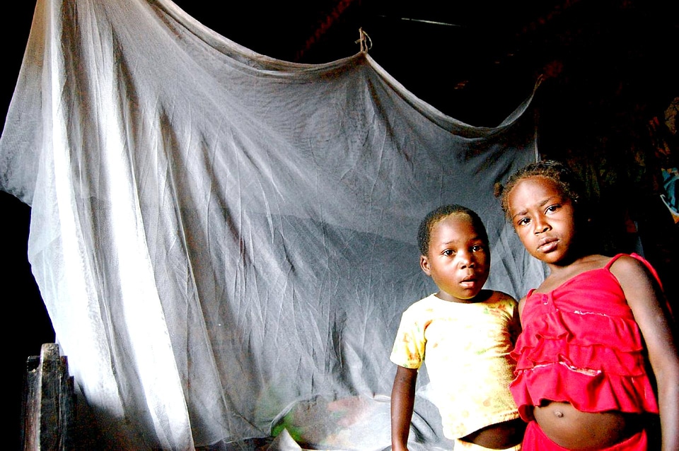 Community malaria project