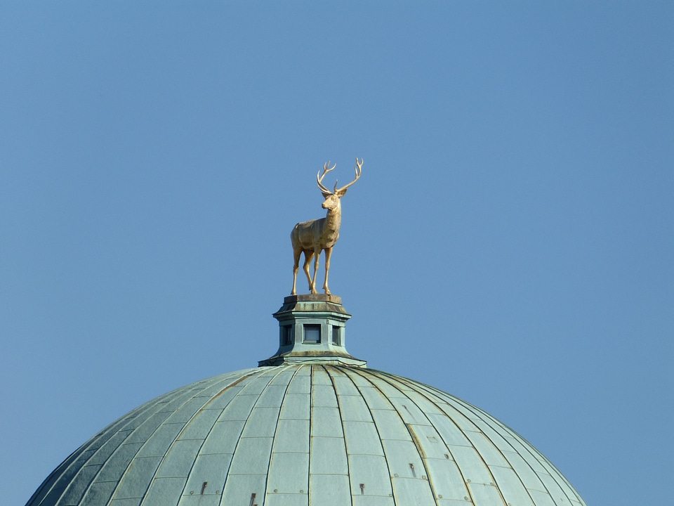 Hirsch antler statue