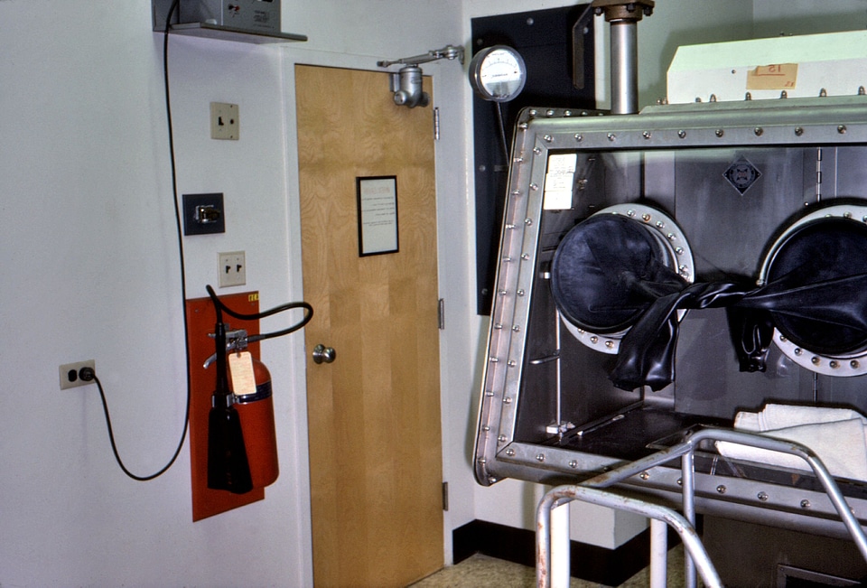 Access camera glove