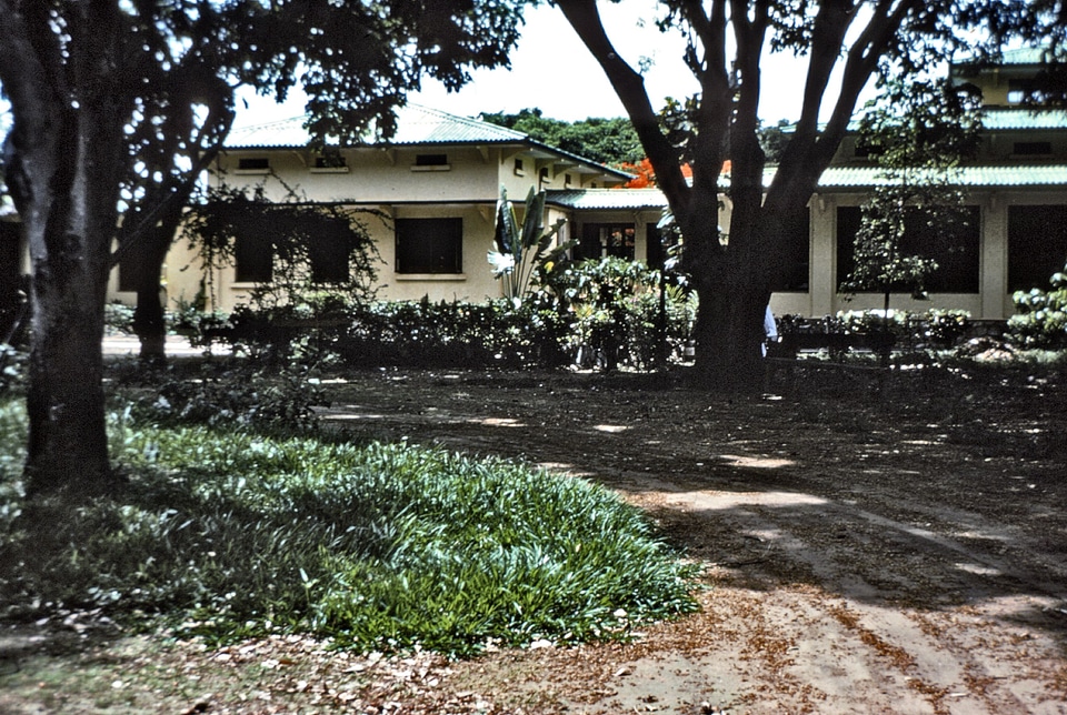 Back canopy hospital