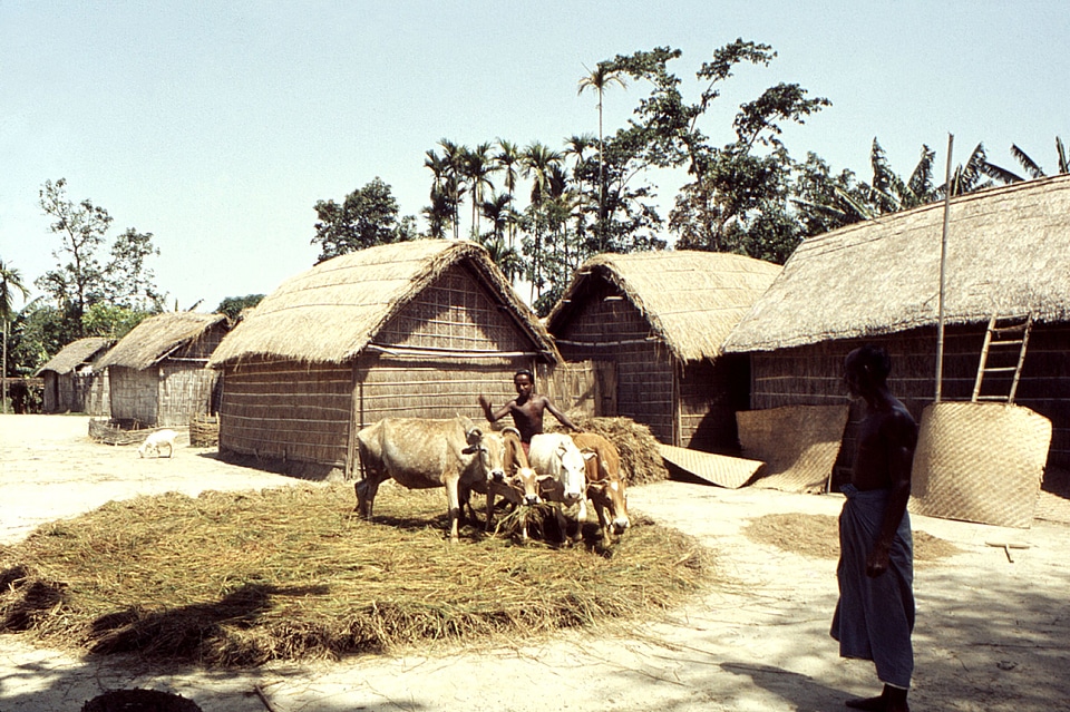 Bangladesh boy city