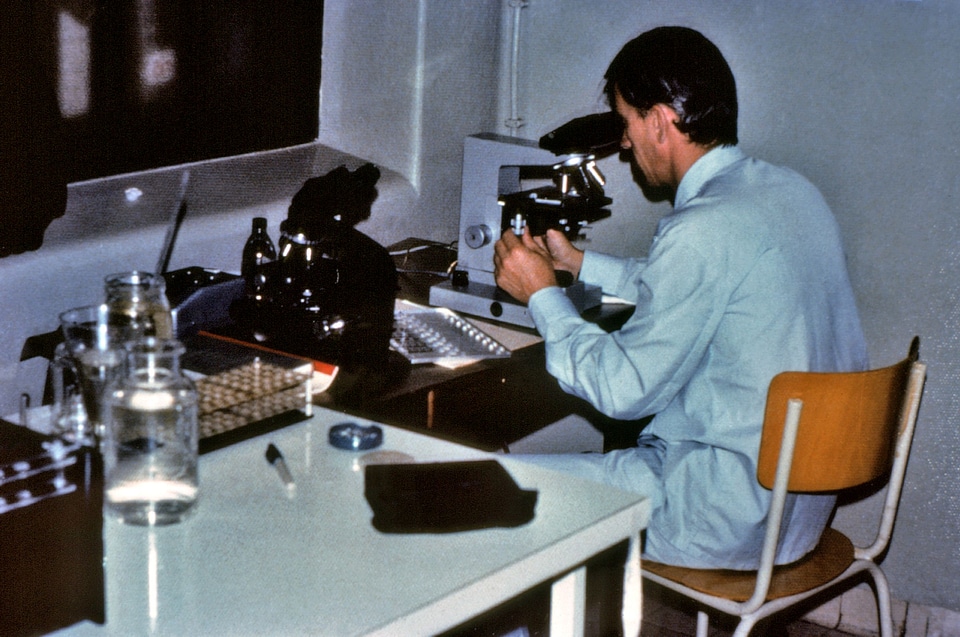 Blood hematologist 