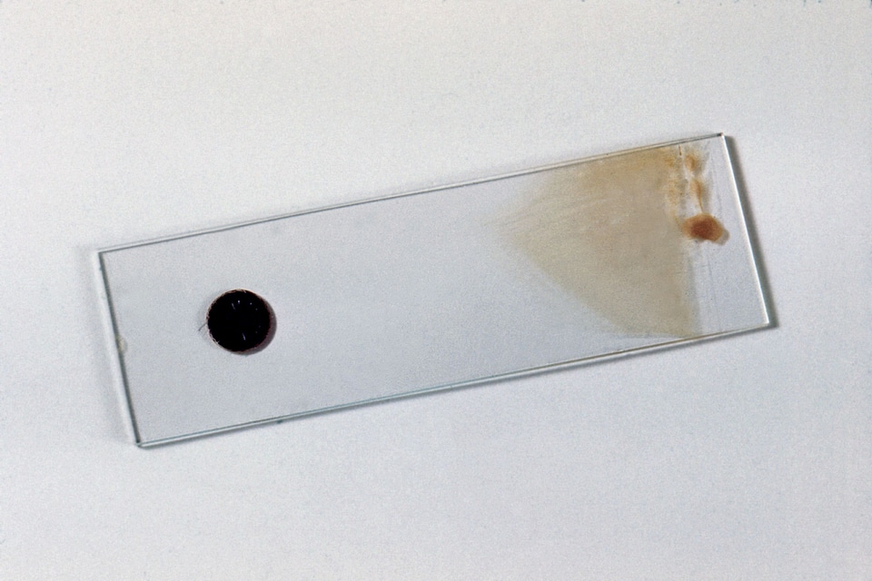 Film glide preparation