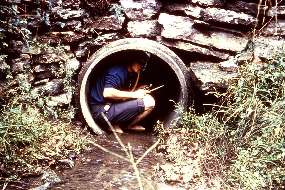 Adult aspiration bearing