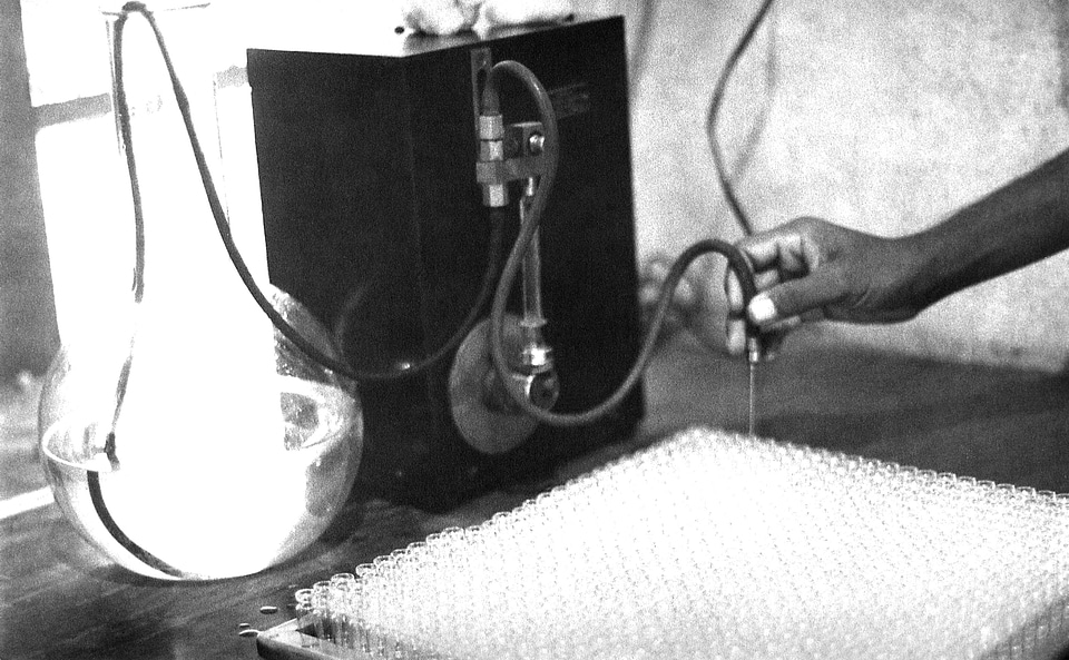 Process smallpox vaccine