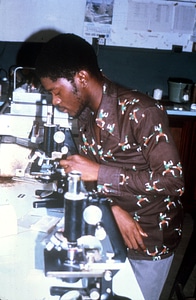 Labor looking microscope