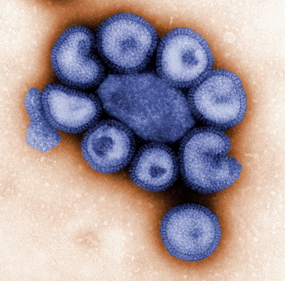 Details influenza number