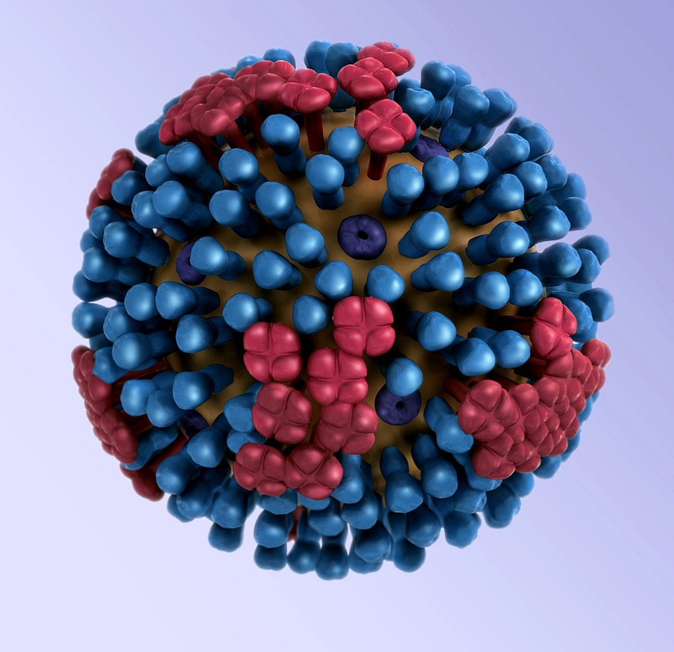 Depicting influenza model