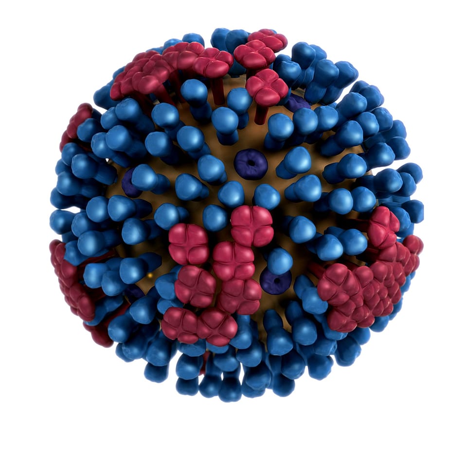 Influenza coronavirus adenovirus