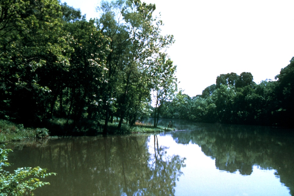 Arroyo camp nature