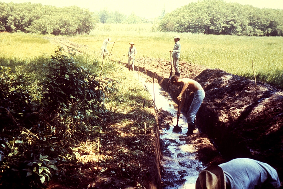 Canal lasting order