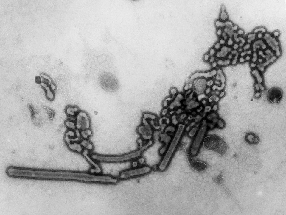 Art influenza surface