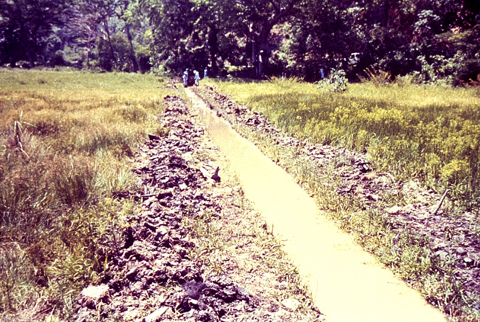 Canal lasting order