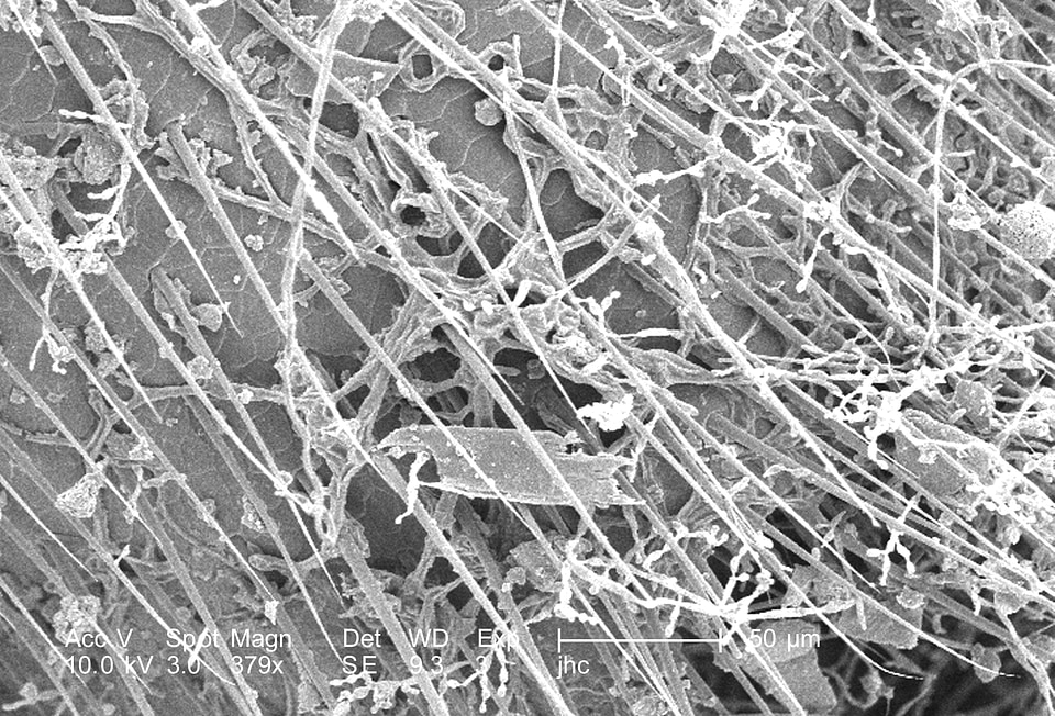 Found morphology surface