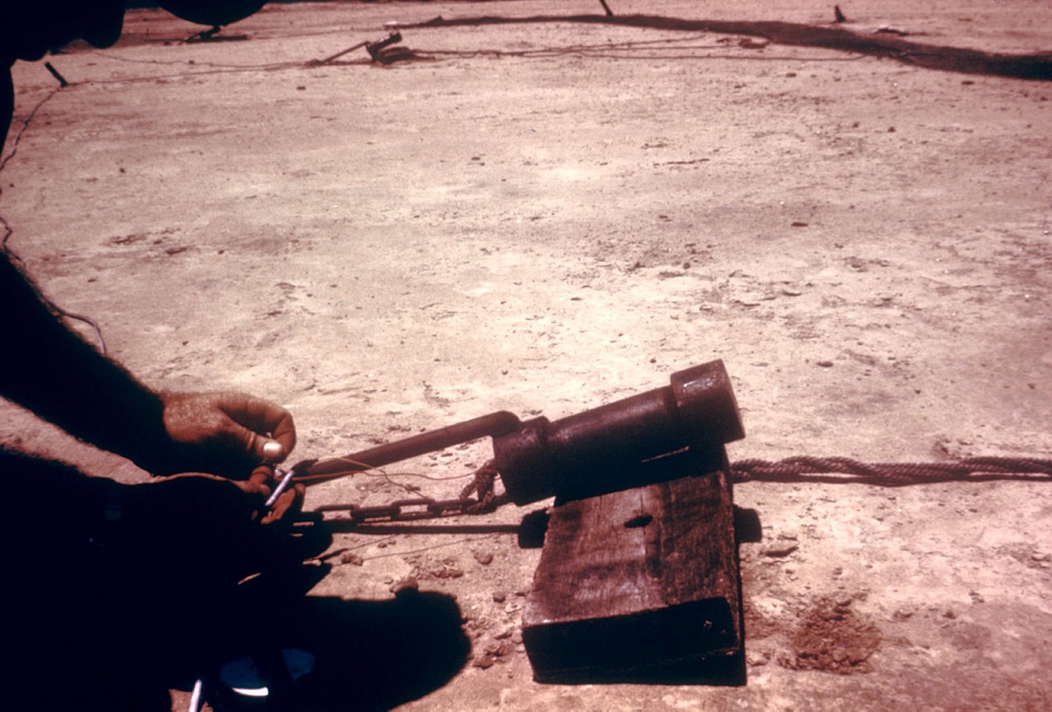 Bird cannon capture