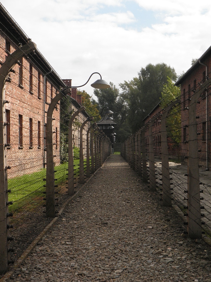 Auschwitz barbed wire separation