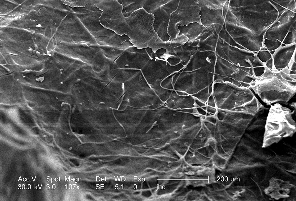 Details nest surface