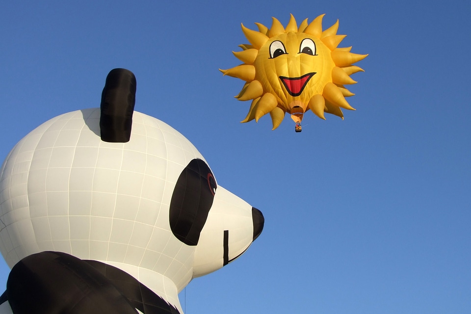 Balloon usa hot air balloon