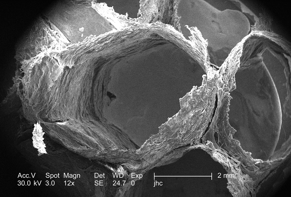 Details nest surface