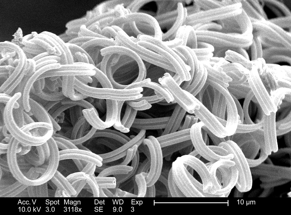 Debris morphologic 