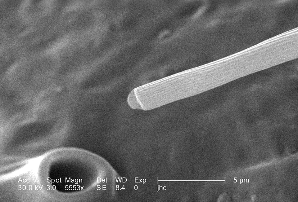 Ladder magnification single