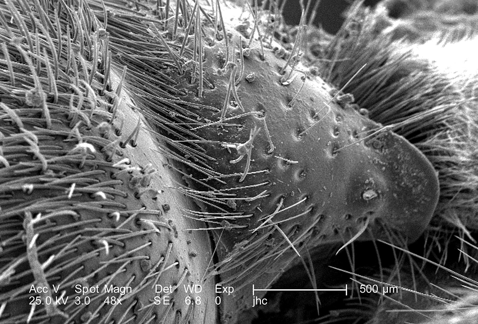 Exoskeleton sense surface
