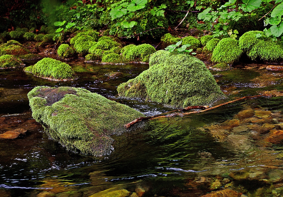 Torrent stream water