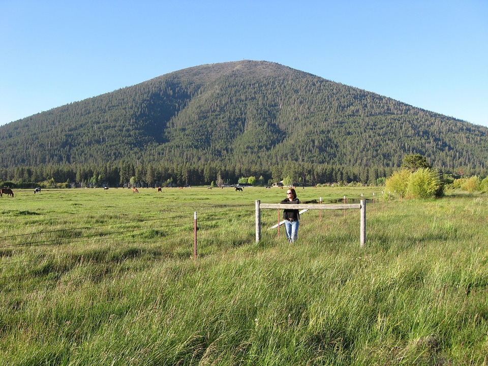 Ranch pasture pastoral