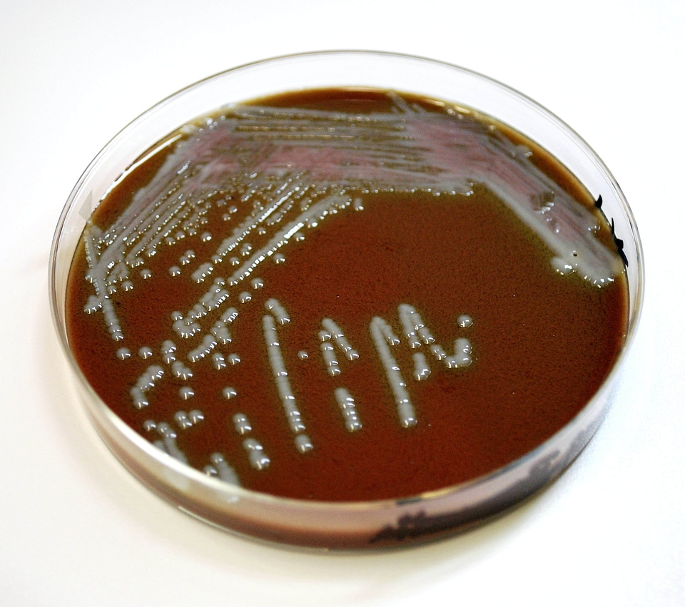 Carbon court extract
