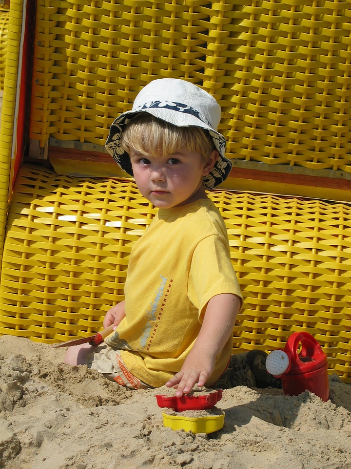 Beach digging sandalwood