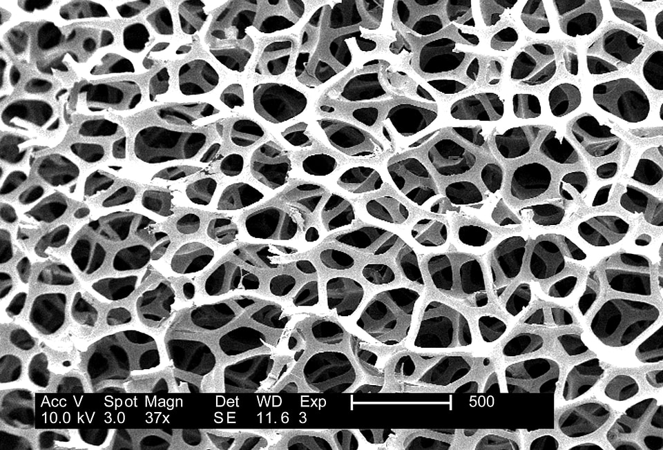 Image microscopy sponge