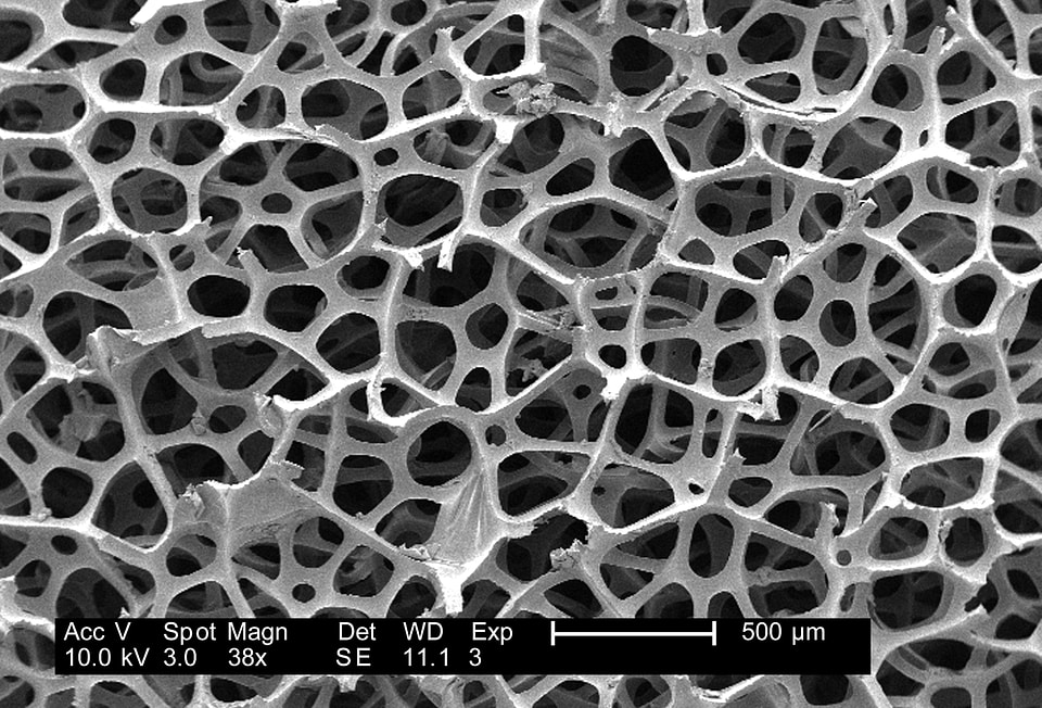 Magnification sponge 