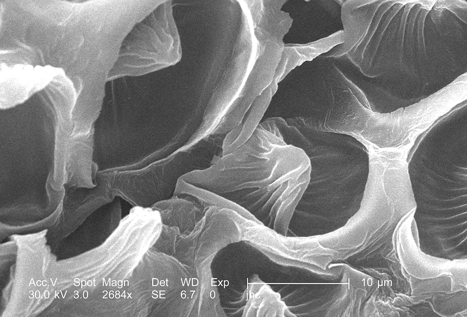 Crimson details surface