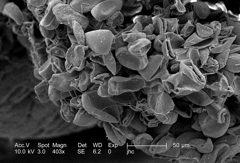 Blossom metallic petal