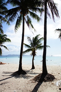 Boracay beach sea sunset photo