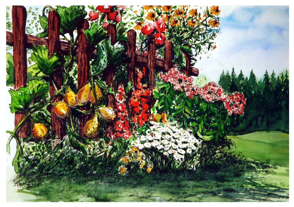Summer flowers garden