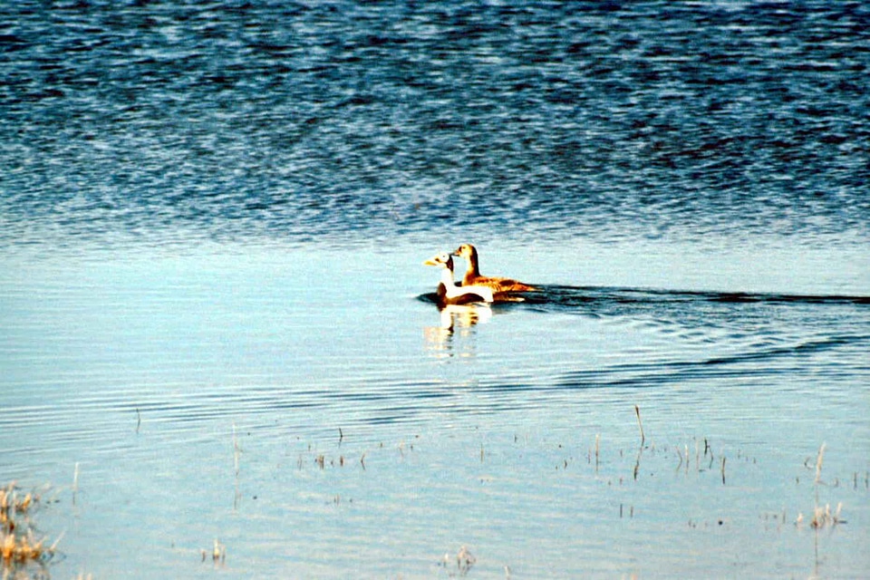 Bathe couple distance