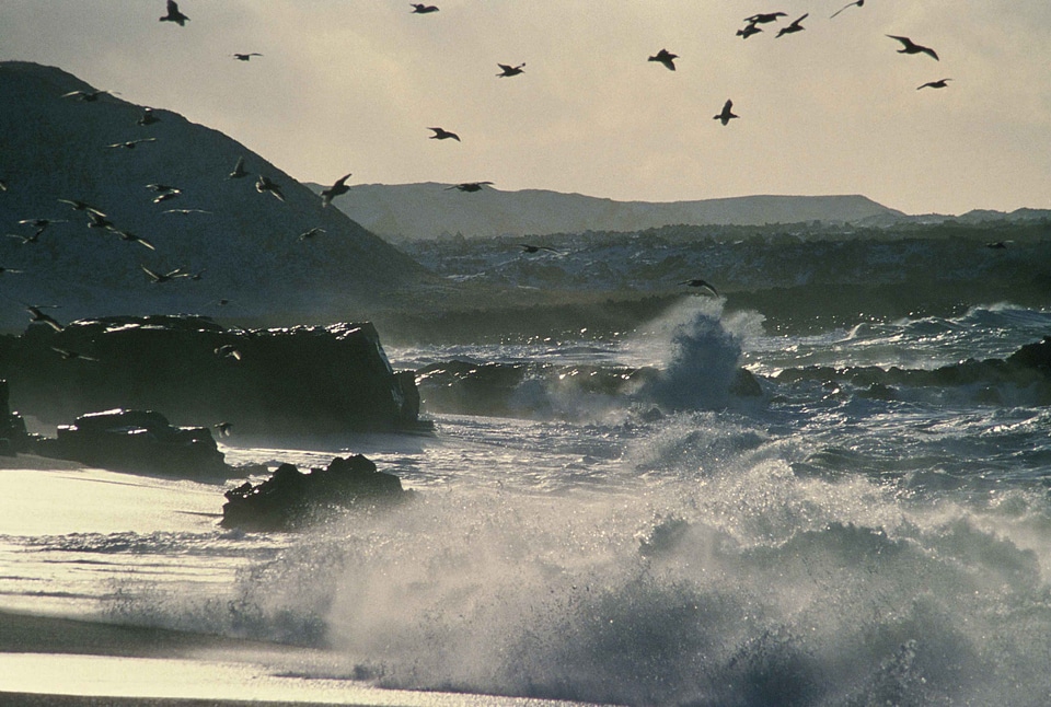 Above waves 