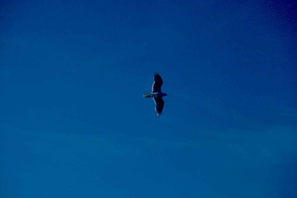 Sky  