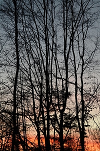 Afterglow evening sky clouds