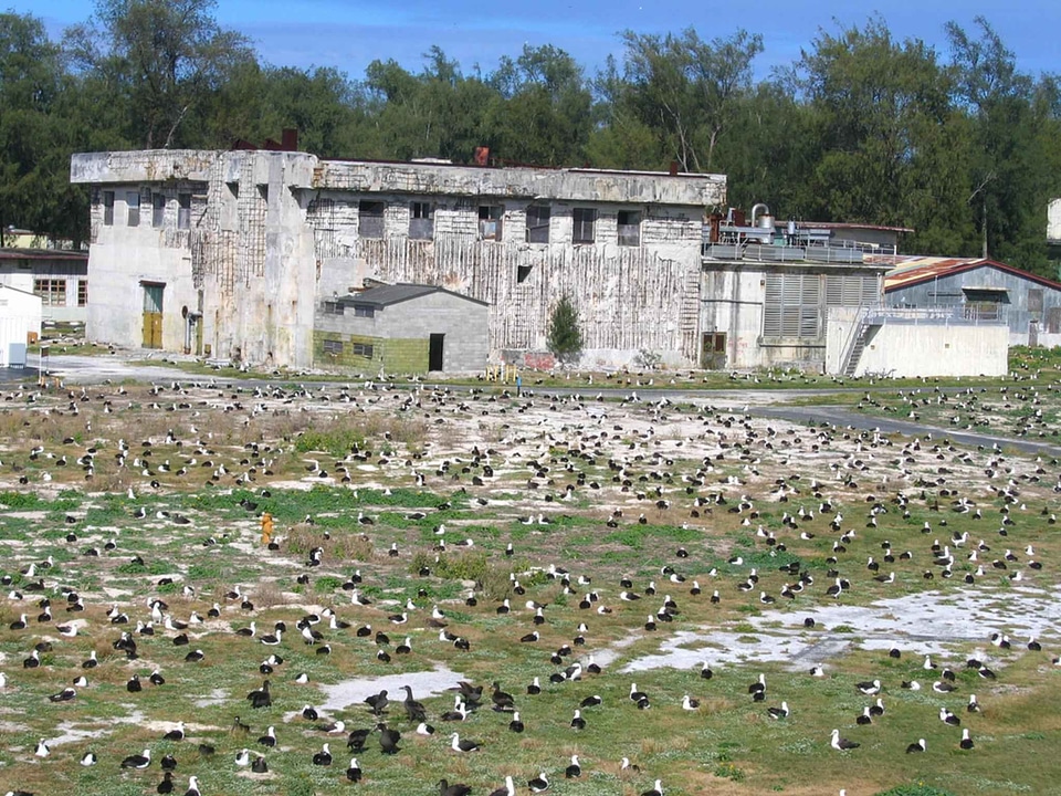 Albatross area building