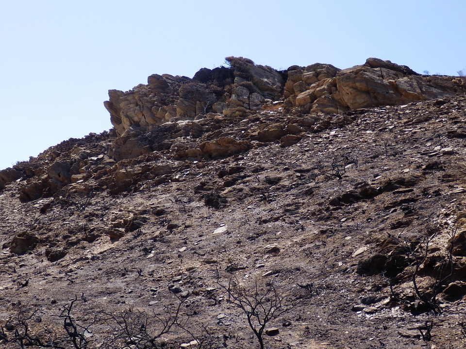 Burnt wildfire landscape