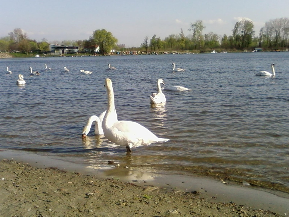Lake  