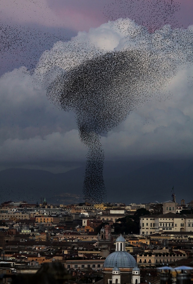 Rome tornado flight