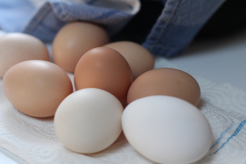 Fresh eggs brown eggs natural