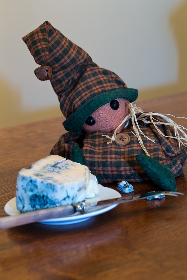 Bell cap check suit gorgonzola cheese