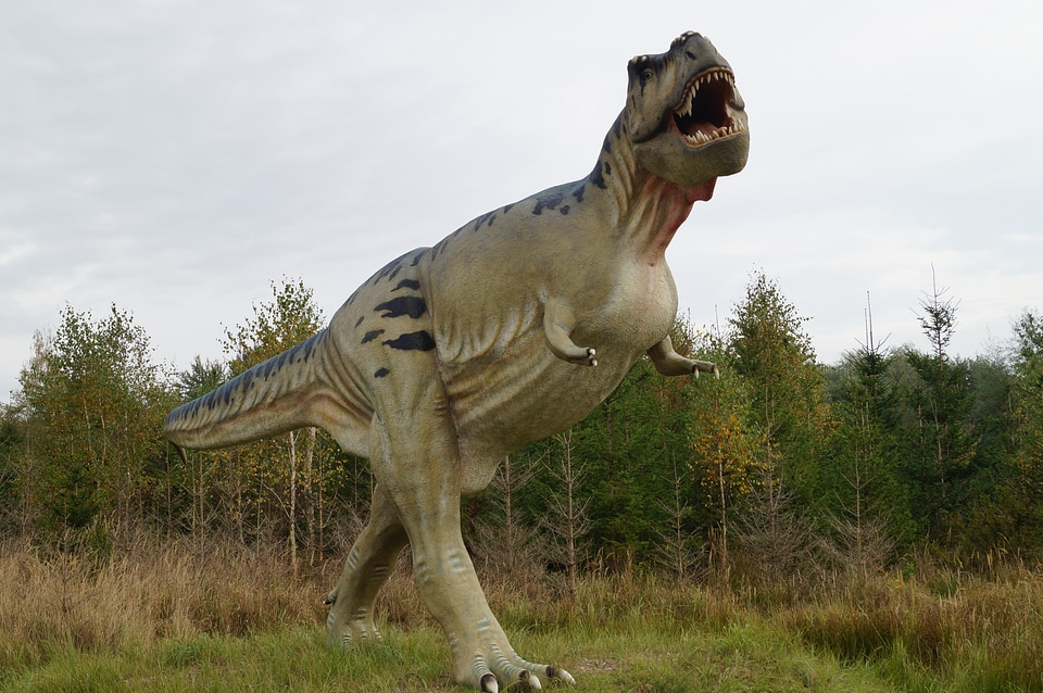Dinosaur dangerous predator