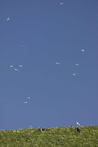 Blue blue sky sky