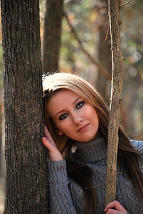 Nice beautiful trees