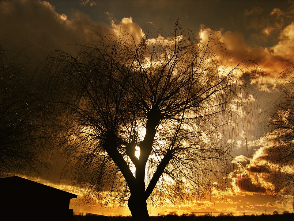 Sunset water mirroring